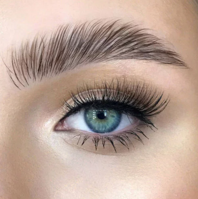Eyebrow close up