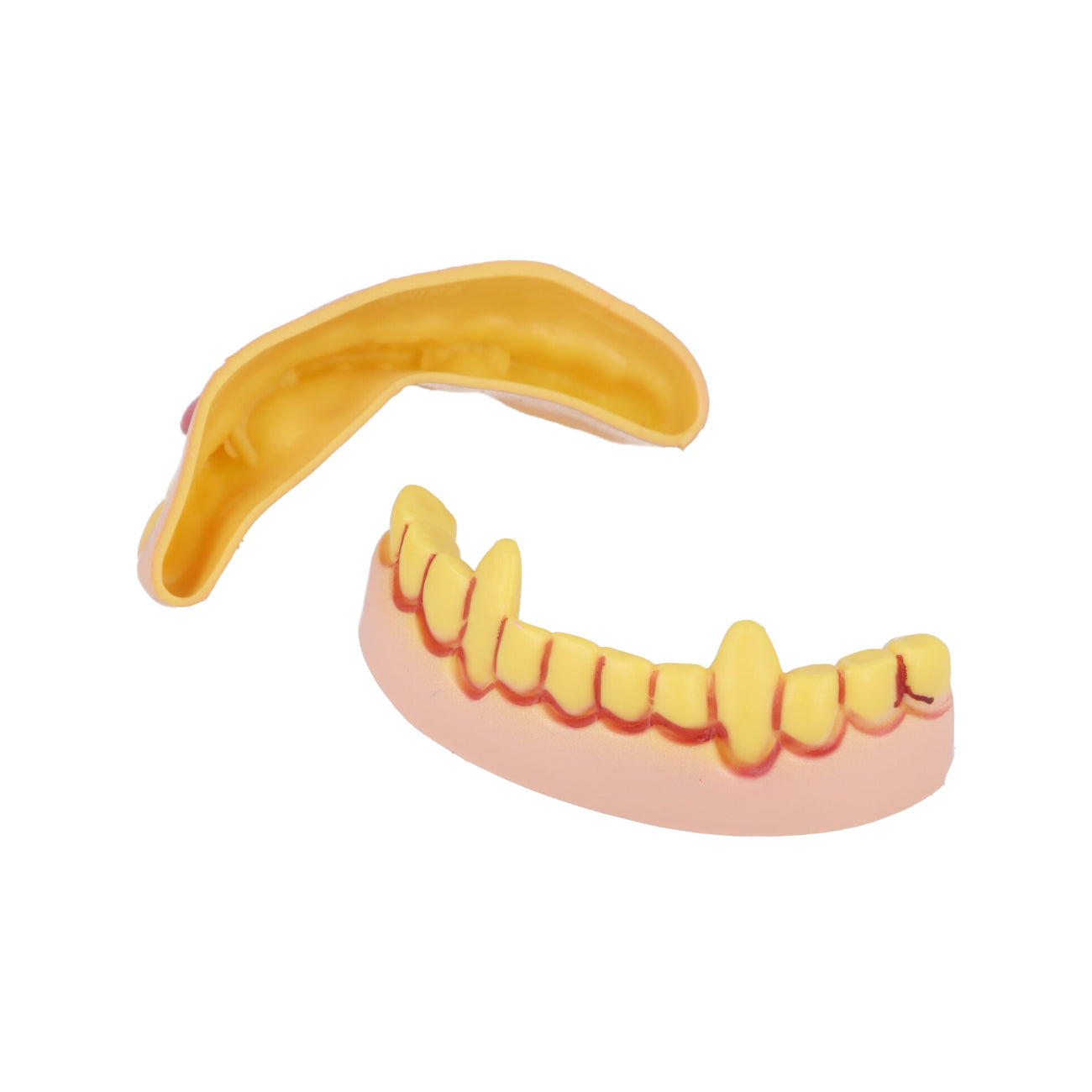 Horror Teeth