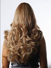 Human Hair wigs
