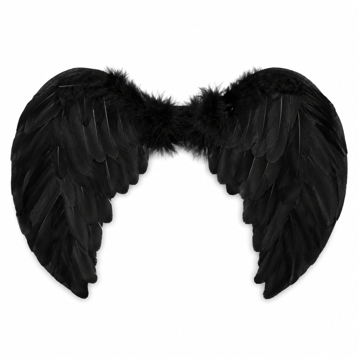Halloween Feathered Wings Black or White