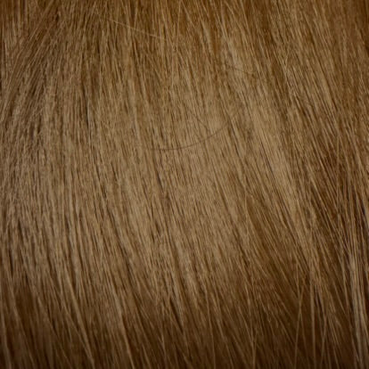 Kym 22" Wrap Around Ponytail