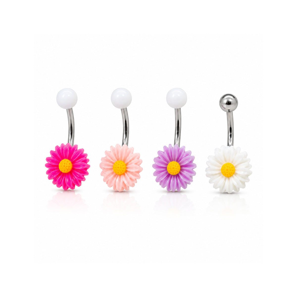 Coloured Daisy Navel Bars
