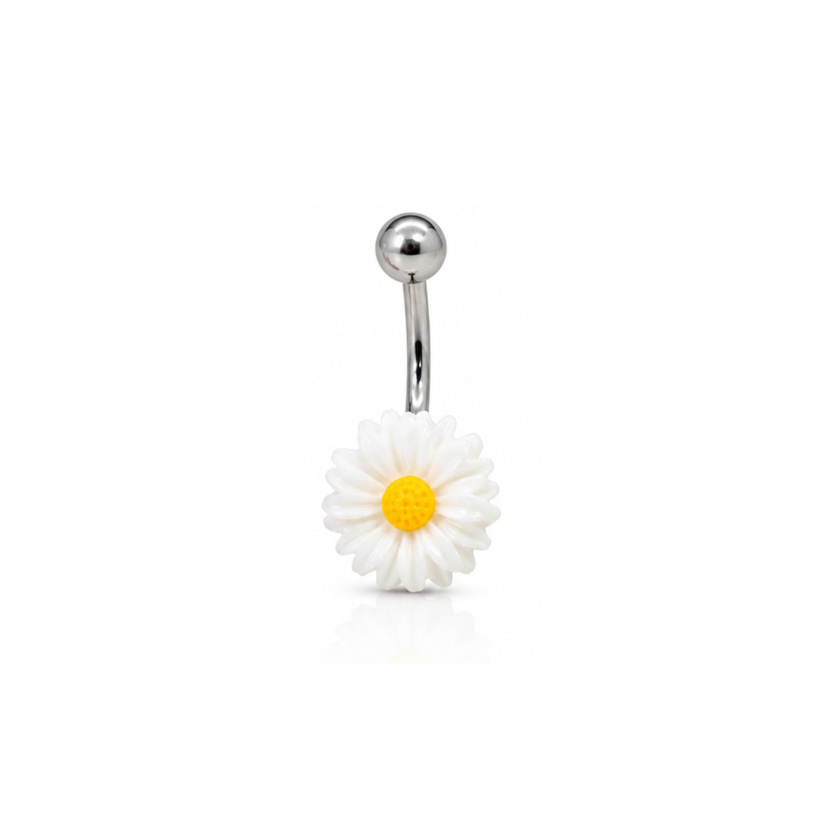 Coloured Daisy Navel Bars