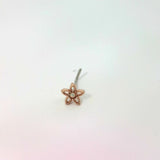 Gold Star Nose Jewellery with Silver Stud