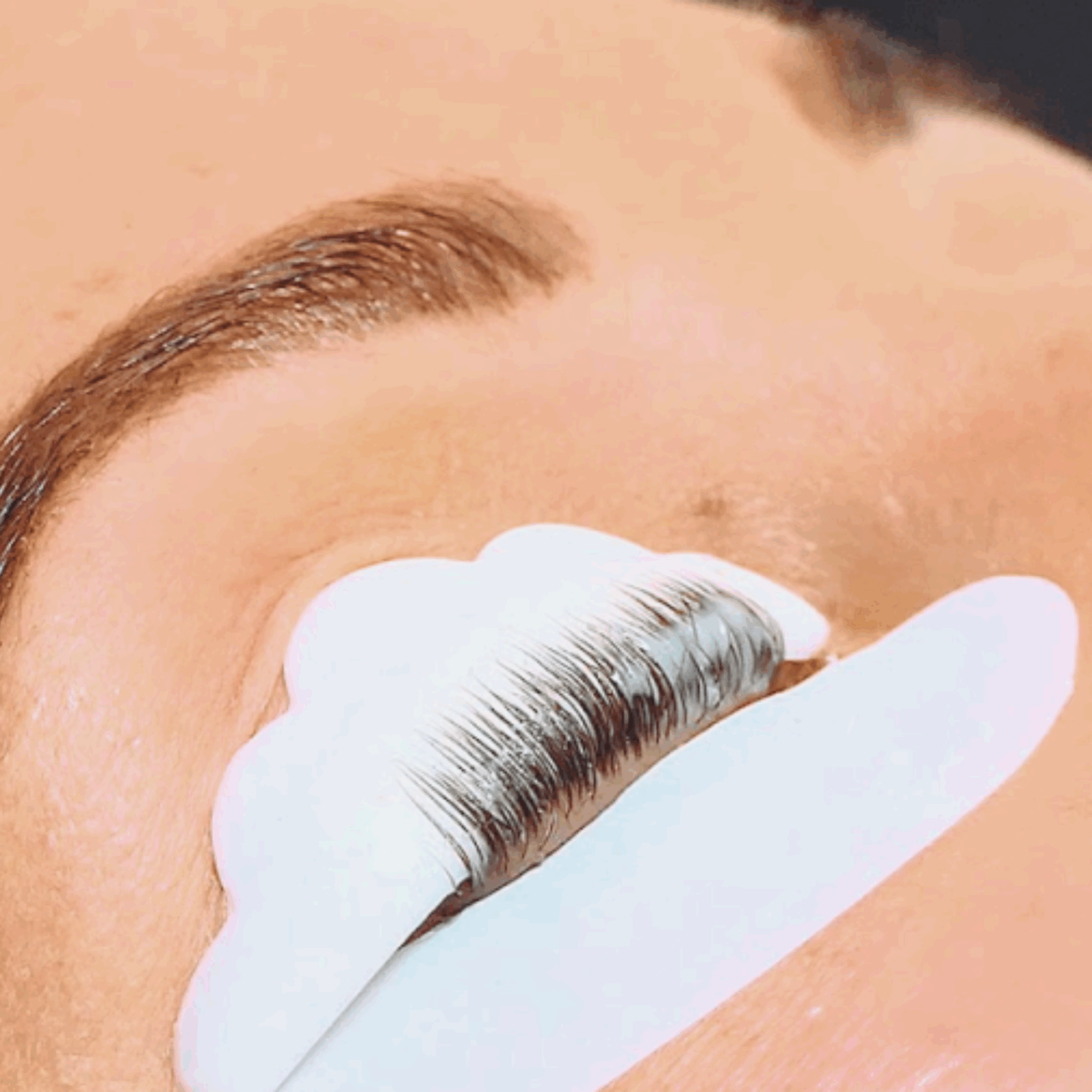 Lashlift Lifting Shields A