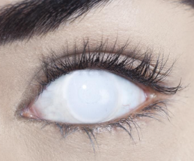 Halloween Fashion Eye Wear - Various