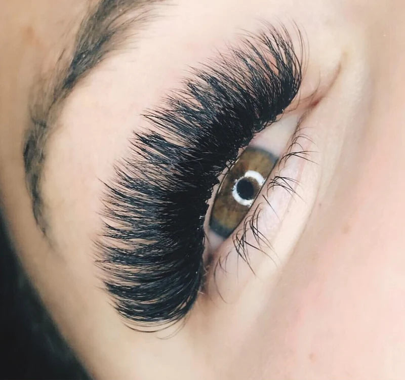 D Curl Individual lashes - beauty spot warehouse