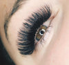 D Curl Individual lashes
