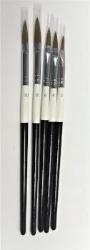 Acrylic nail brushes - 5 set - beauty spot warehouse