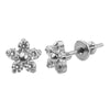 Titanium Earrings CZ Crystal Flowers
