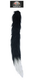 Black cats tail with white tip