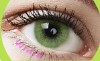 Fashion Eyewear - Icy Green